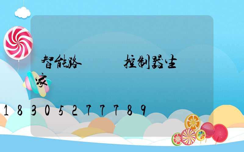 智能路燈單燈控制器生產廠家