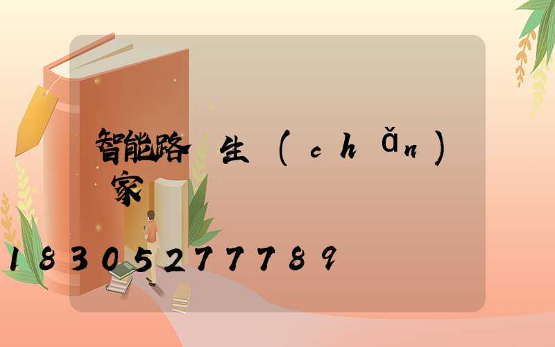智能路燈生產(chǎn)廠家