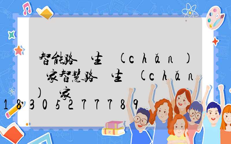 智能路燈生產(chǎn)廠家智慧路燈生產(chǎn)廠家