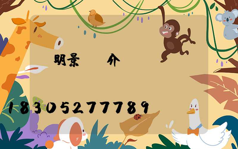 東明景觀燈介紹