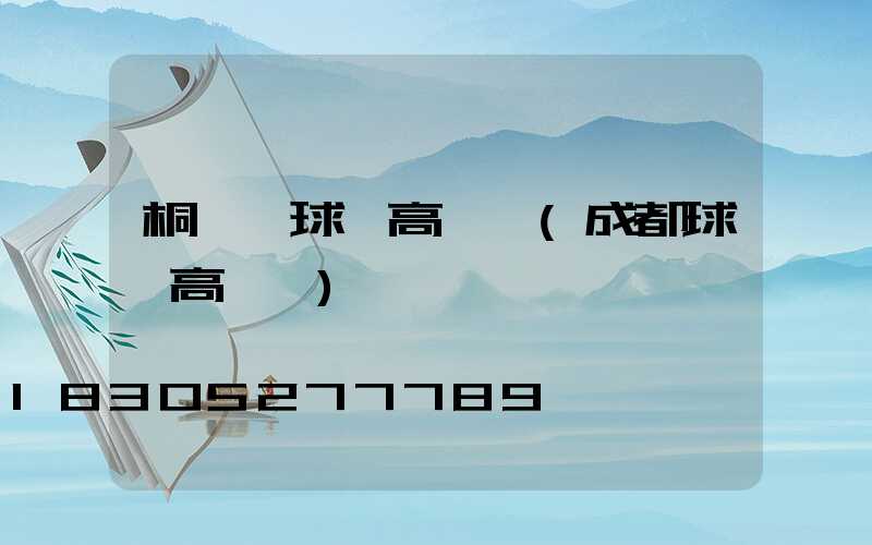 桐廬縣球場高桿燈(成都球場高桿燈)
