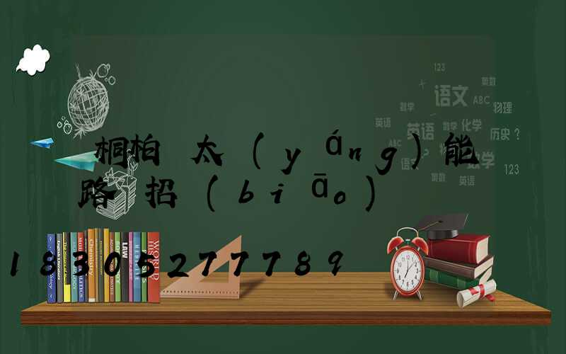 桐柏縣太陽(yáng)能路燈招標(biāo)