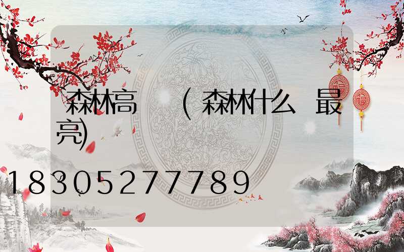 森林高桿燈(森林什么燈最亮)