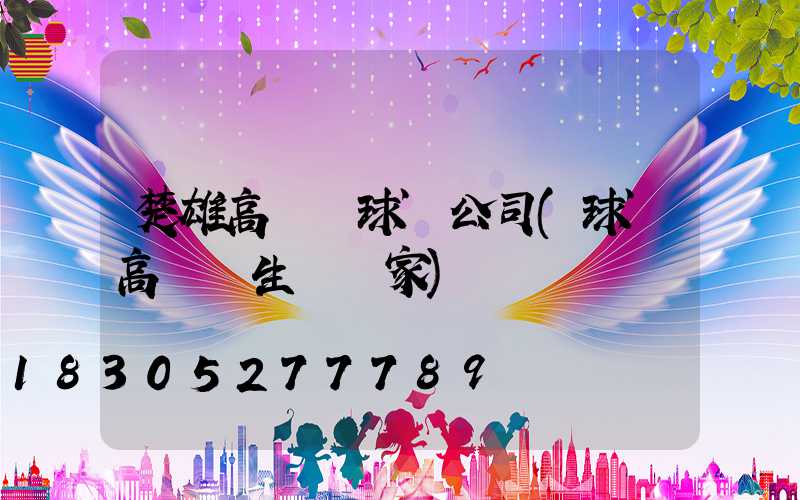 楚雄高桿燈球場公司(球場高桿燈生產廠家)