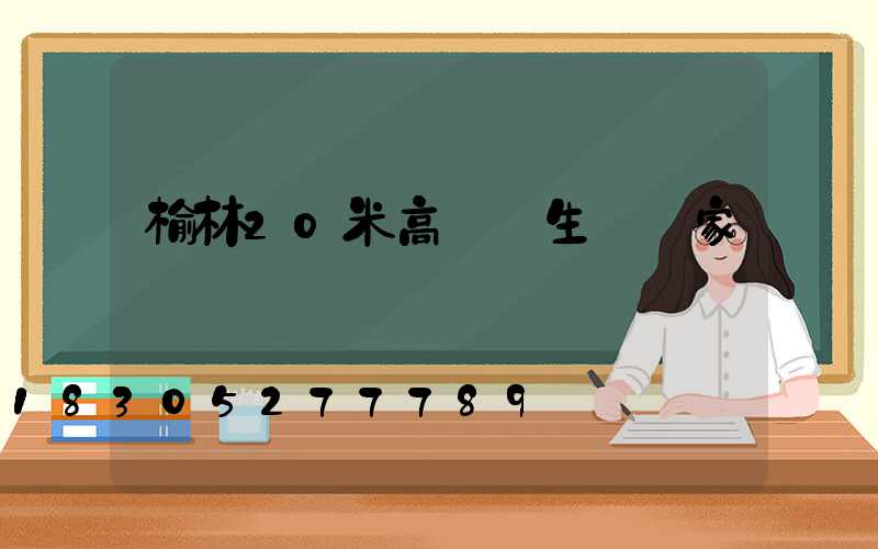 榆林20米高桿燈生產廠家