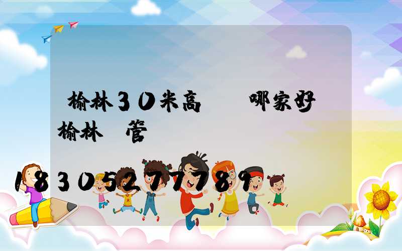 榆林30米高桿燈哪家好(榆林燈管)