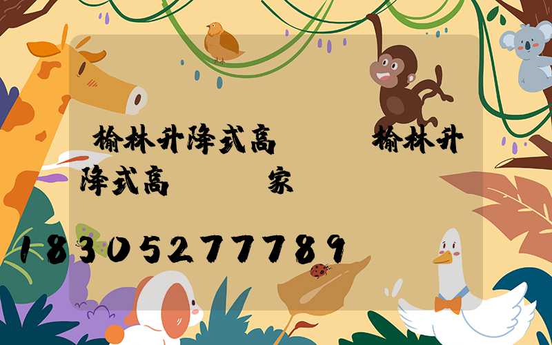 榆林升降式高桿燈(榆林升降式高桿燈廠家)