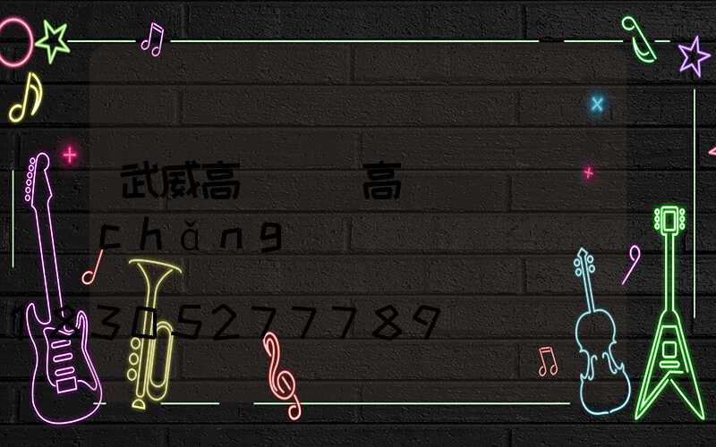 武威高桿燈(高桿燈廣場(chǎng))