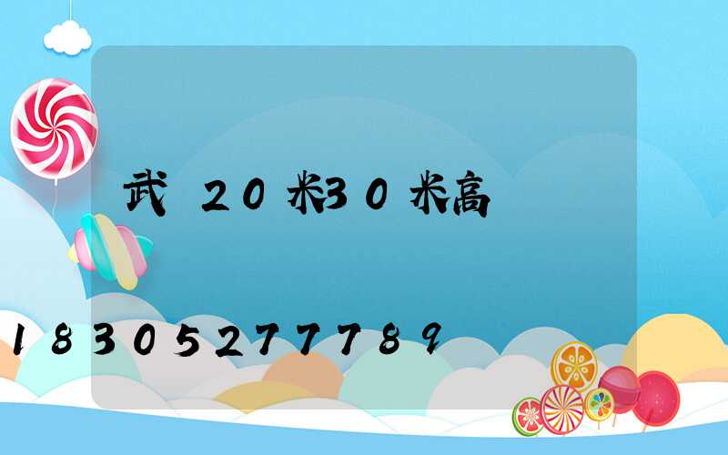 武漢20米30米高桿燈