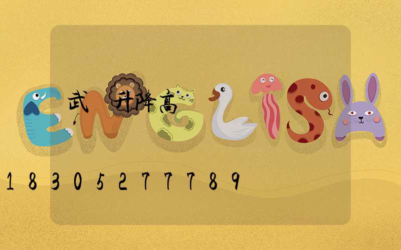 武漢升降高桿燈