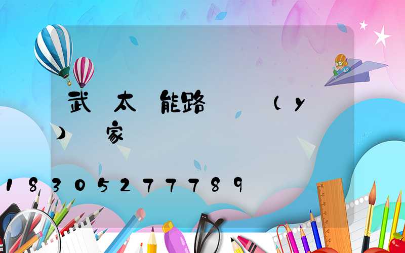 武漢太陽能路燈專業(yè)廠家