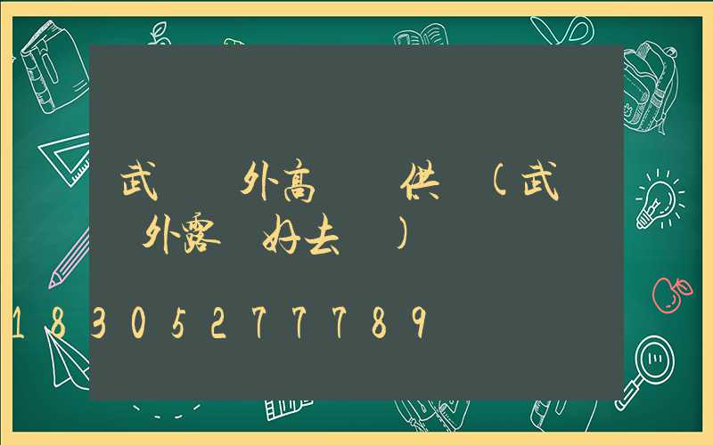 武漢戶外高桿燈供應(武漢戶外露營好去處)