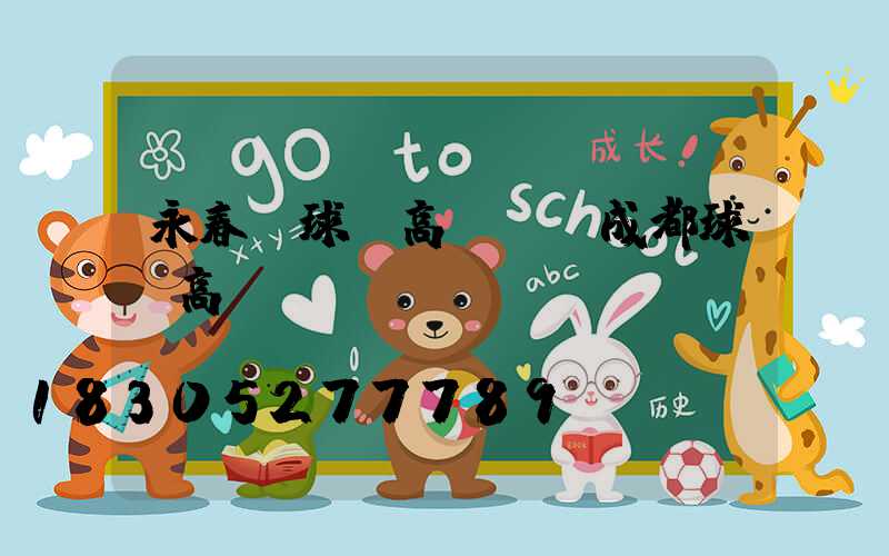 永春縣球場高桿燈(成都球場高桿燈)