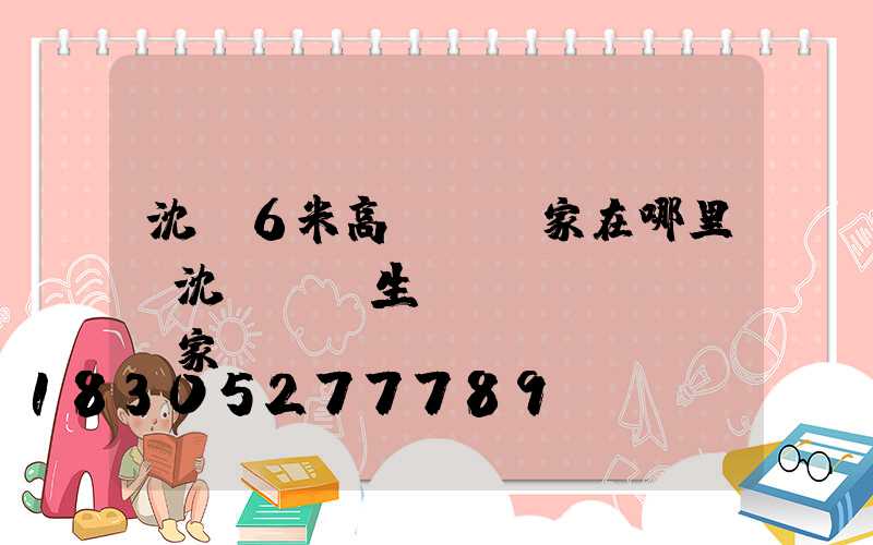 沈陽6米高桿燈廠家在哪里(沈陽燈桿生產(chǎn)廠家)