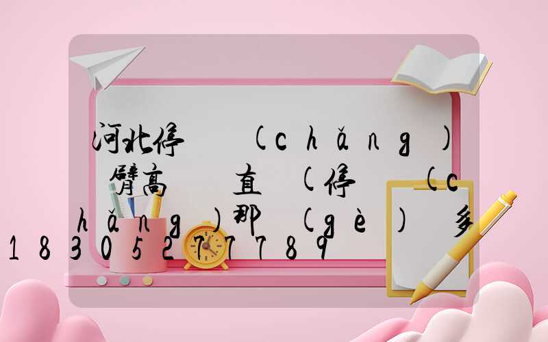 河北停車場(chǎng)雙臂高桿燈直銷(停車場(chǎng)那個(gè)桿多少錢)