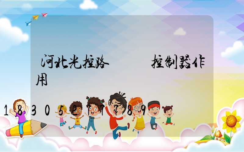 河北光控路燈單燈控制器作用