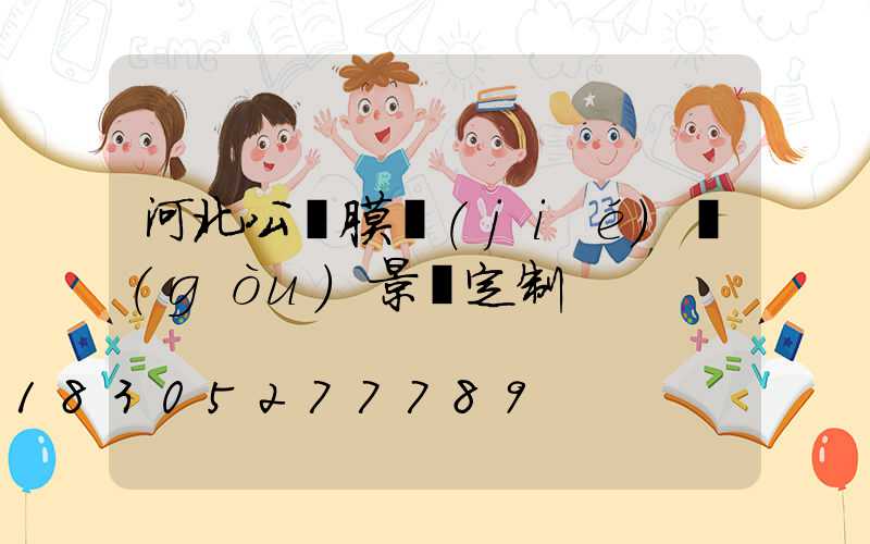 河北公園膜結(jié)構(gòu)景觀定制