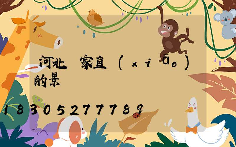 河北廠家直銷(xiāo)的景觀燈