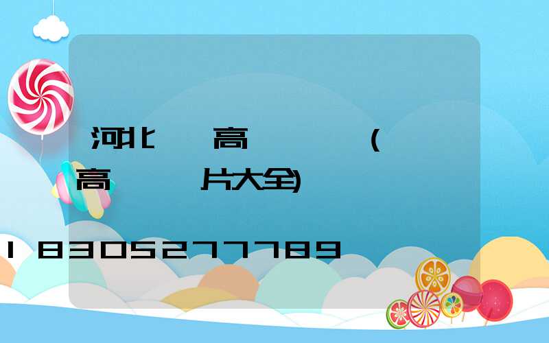 河北廣場高桿燈報價(廣場高桿燈圖片大全)