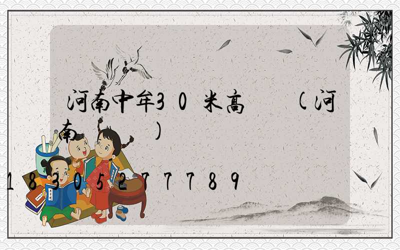 河南中牟30米高桿燈(河南燈桿廠)