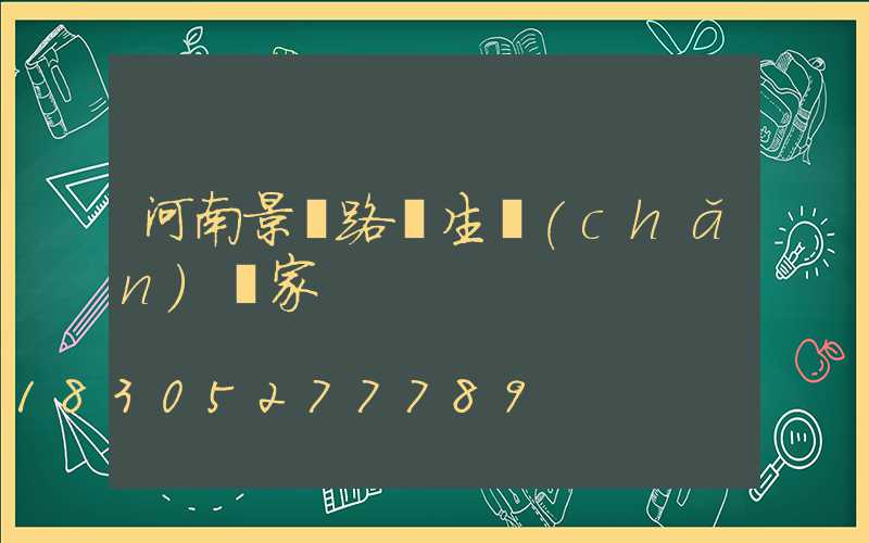 河南景觀路燈生產(chǎn)廠家