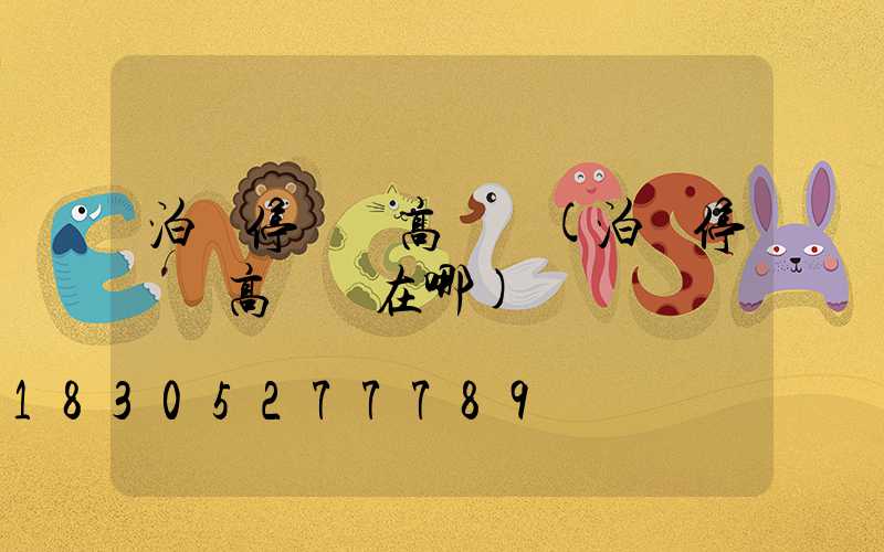 泊頭停車場高桿燈(泊頭停車場高桿燈在哪)