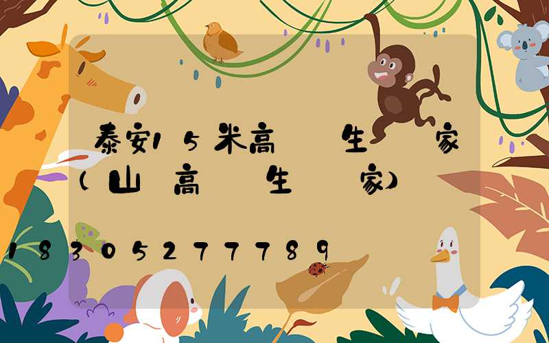 泰安15米高桿燈生產廠家(山東高桿燈生產廠家)