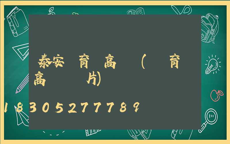 泰安體育場高桿燈(體育場高桿燈圖片)