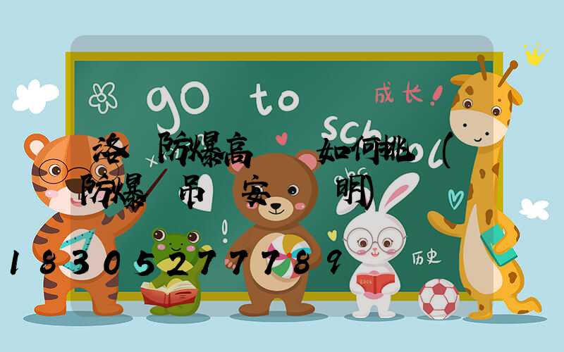 洛陽防爆高桿燈如何挑選(防爆燈吊桿安裝說明)