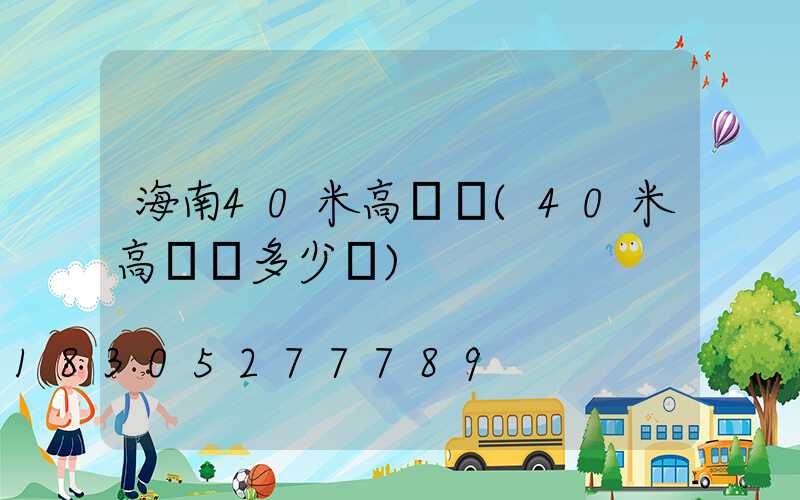 海南40米高桿燈(40米高桿燈多少錢)