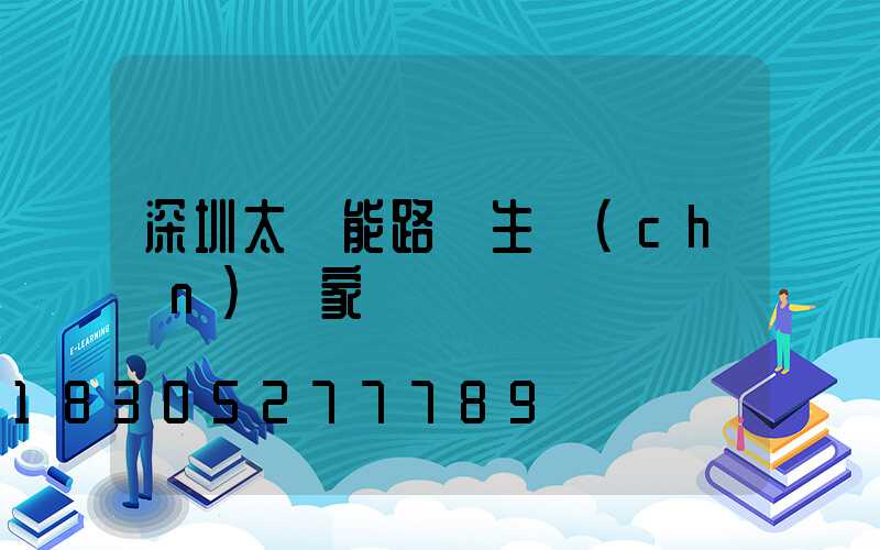 深圳太陽能路燈生產(chǎn)廠家