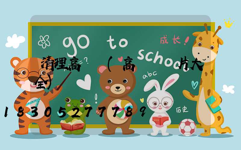 清理高桿燈(高桿燈圖片大全)