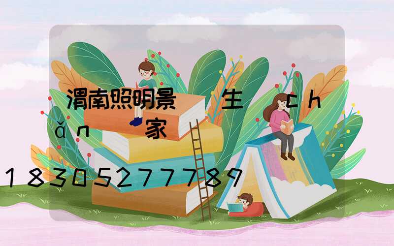 渭南照明景觀燈生產(chǎn)廠家