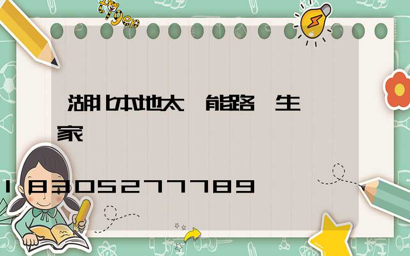 湖北本地太陽能路燈生產廠家