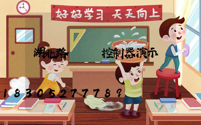 湖北路燈單燈控制器演示