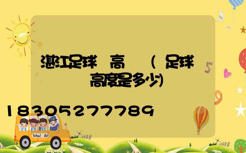 湛江足球場高桿燈(足球場燈桿標準高度是多少)