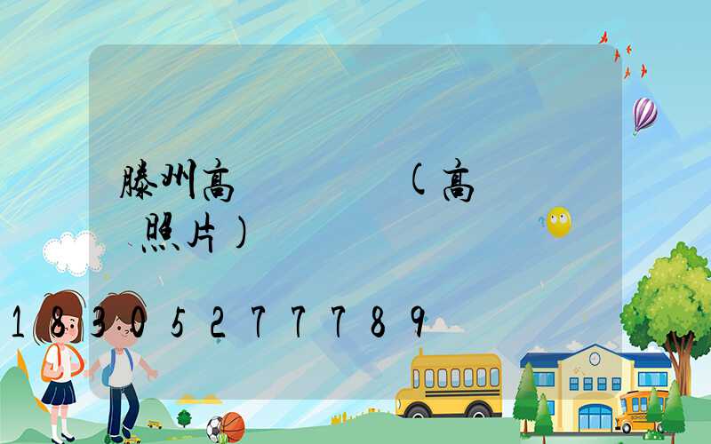 滕州高桿燈燈頭(高桿燈燈頭照片)