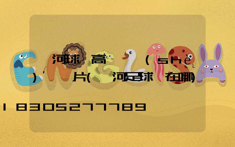 漯河球場高桿燈設(shè)計圖片(漯河足球場在哪)