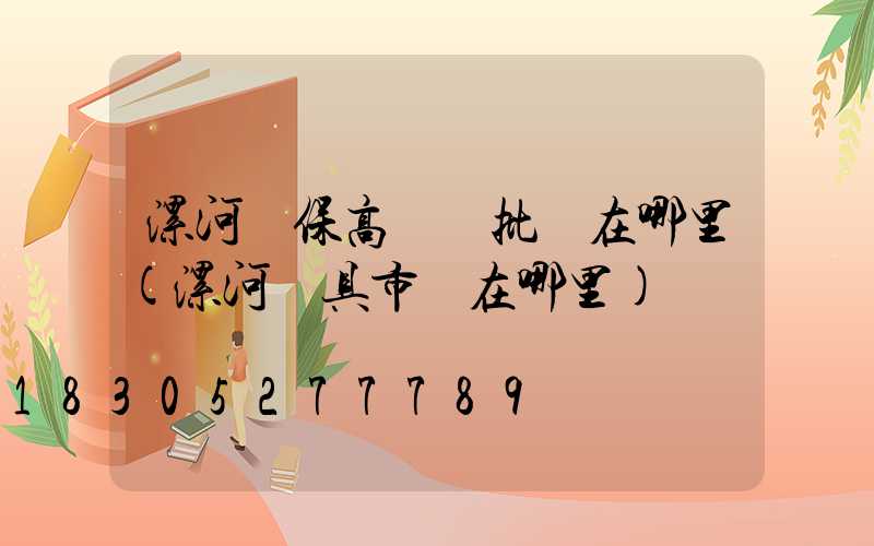 漯河環保高桿燈批發在哪里(漯河燈具市場在哪里)