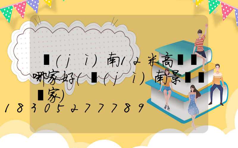 濟(jì)南12米高桿燈哪家好(濟(jì)南景觀燈廠家)