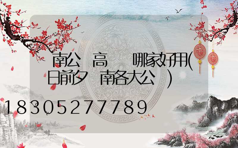 濟南公園高桿燈哪家好用(節日前夕濟南各大公園)