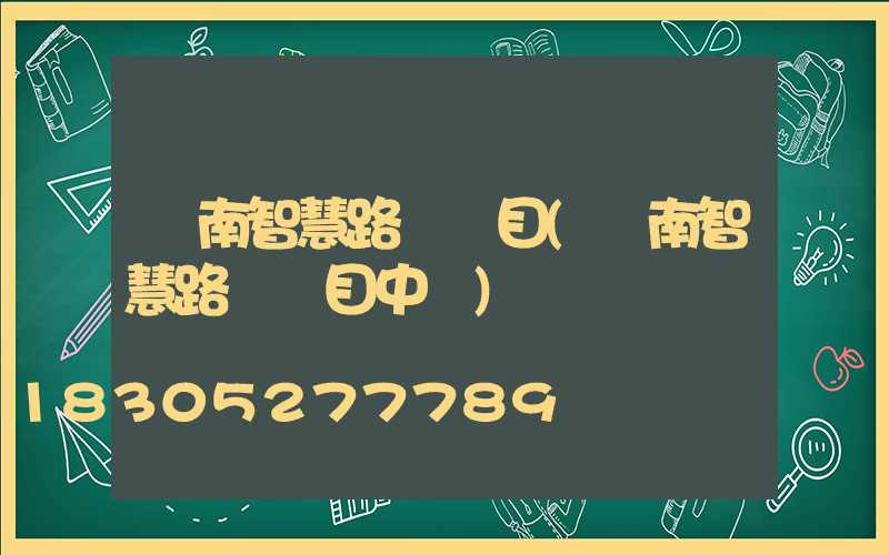 濟南智慧路燈項目(濟南智慧路燈項目中標)