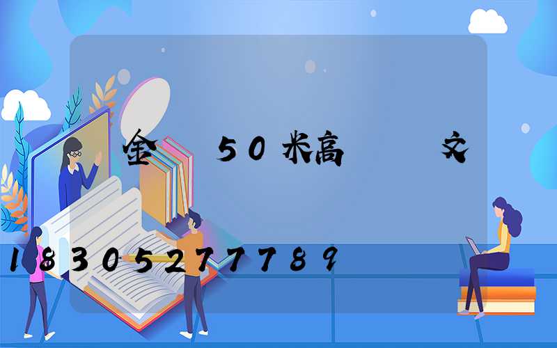 濟金紹爾50米高桿燈論文