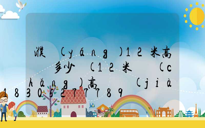 濮陽(yáng)12米高桿燈多少錢(12米廣場(chǎng)高桿燈價(jià)格)