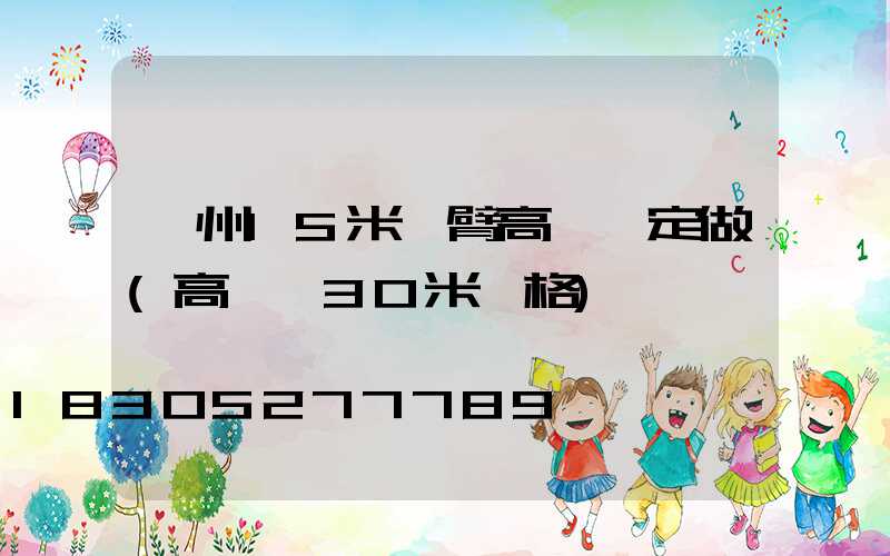 濱州15米雙臂高桿燈定做(高桿燈30米價格)