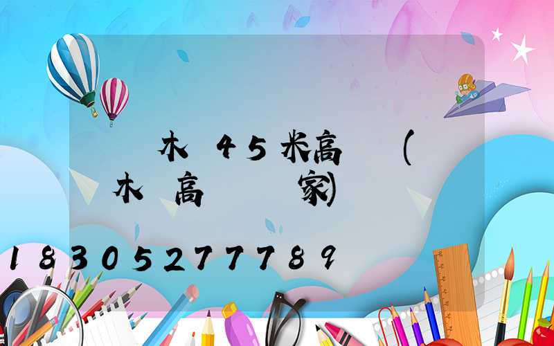 烏魯木齊45米高桿燈(烏魯木齊高桿燈廠家)