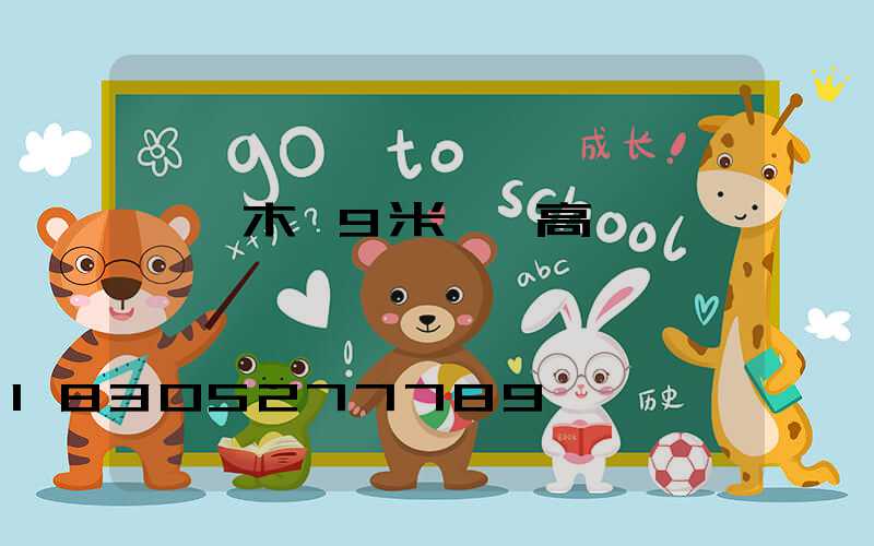 烏魯木齊9米廣場高桿燈