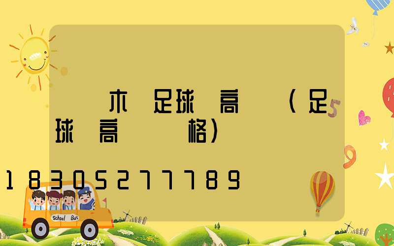 烏魯木齊足球場高桿燈(足球場高桿燈價格)