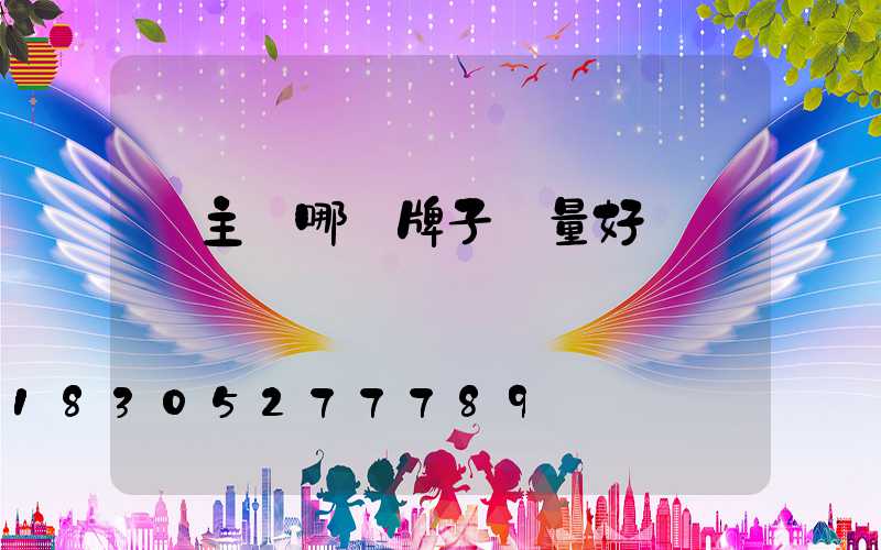 無主燈哪個牌子質量好