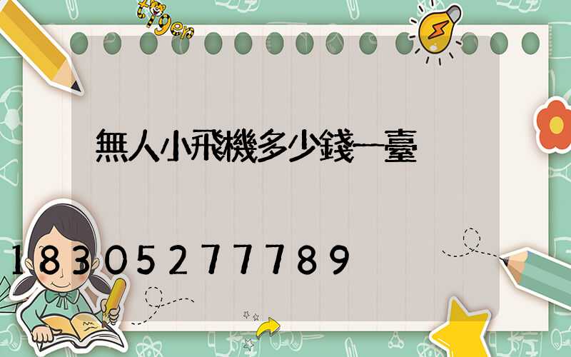 無人小飛機多少錢一臺